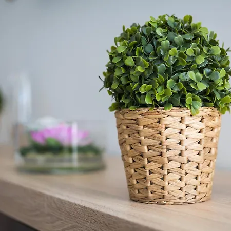 Home2book Cozy Casa Papa, Bright Terrace & Bbq