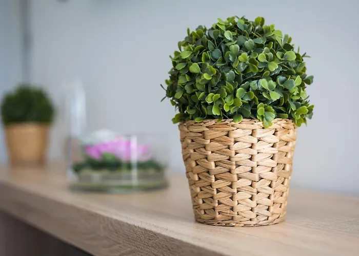 Home2book Cozy Casa Papa, Bright Terrace & Bbq