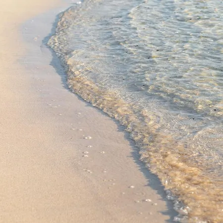 Home2book Cozy Casa Papa, Bright Terrace & Bbq *